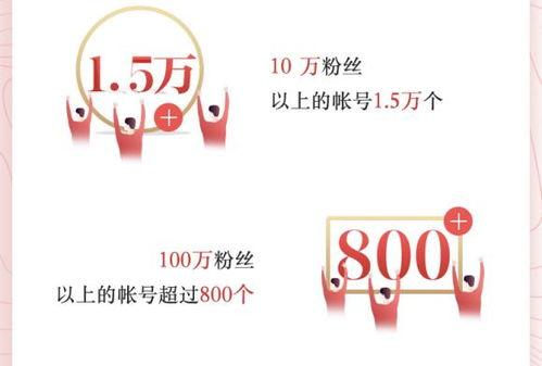 今日头条教育创作者,今日头条创作者如何引领教育变革