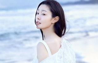 2017新晋明星,新晋明星崛起之路