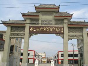 唐河新闻头条武庙镇,武庙镇焕新篇，共绘乡村振兴新蓝图