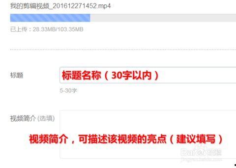 怎样在头条上发爆料视频,轻松发布你的独家新闻