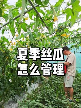 为什么我头条没有种菜,头条为何无缘种菜乐趣？