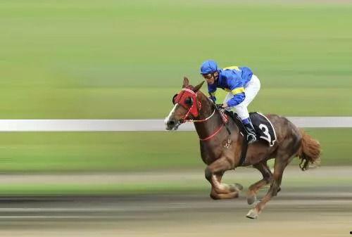 香港明星的赛马,赛马场上的璀璨星光