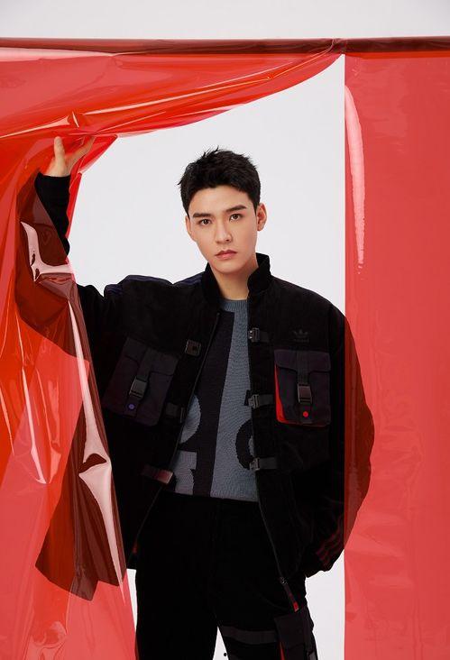 龚俊最新爆料资源网,揭秘明星幕后幕后故事！”