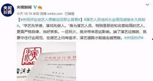 明星管理法,揭秘高效团队打造之道