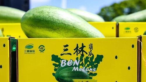 南汇崩瓜如何吃,传统美食的多样吃法探索