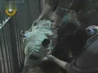 娱乐搞笑吃瓜视频合集,让你笑到肚子疼